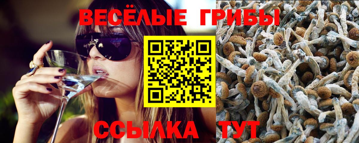 Гашиш  Вход с VPN  ГАШИШ  Мефедрон   Cocaine  АМФЕТАМИН   ЭКСТАЗИ  Звенигород  МАРИХУАНА  Меф 