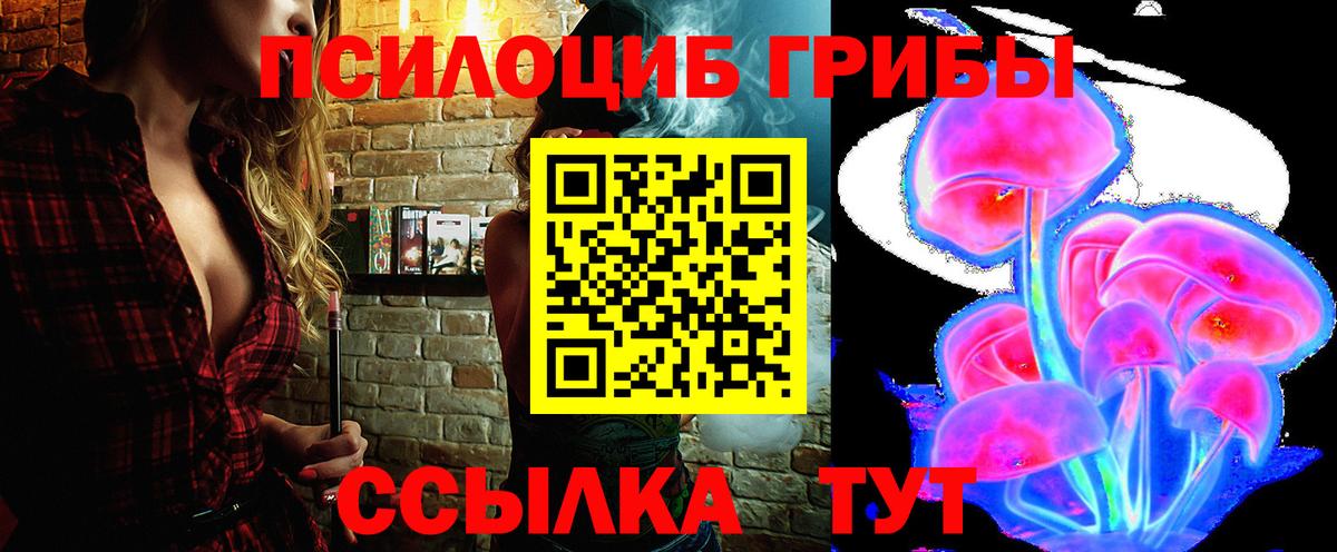 Звенигород  Галлюциногенные грибы Psilocybe  Псилоцибиновые грибы Psilocybe  Вход с VPN 