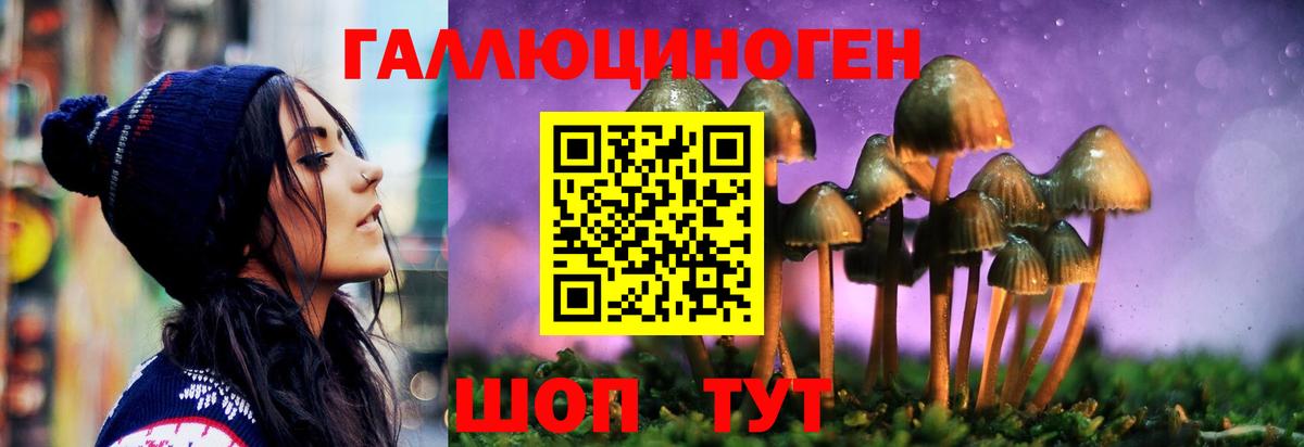 Галлюциногенные грибы MAGIC MUSHROOMS Звенигород